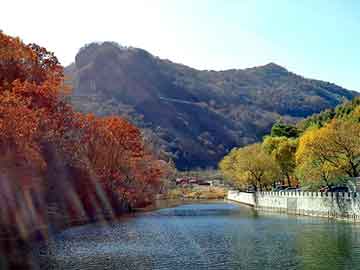 澳门二四六天天彩图库，生物反应器生产厂家